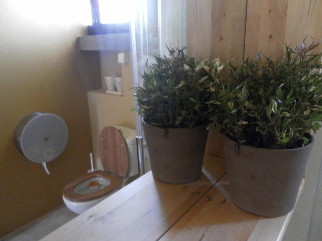 Lemon Tree Hostel Areia Branca Cameră foto
