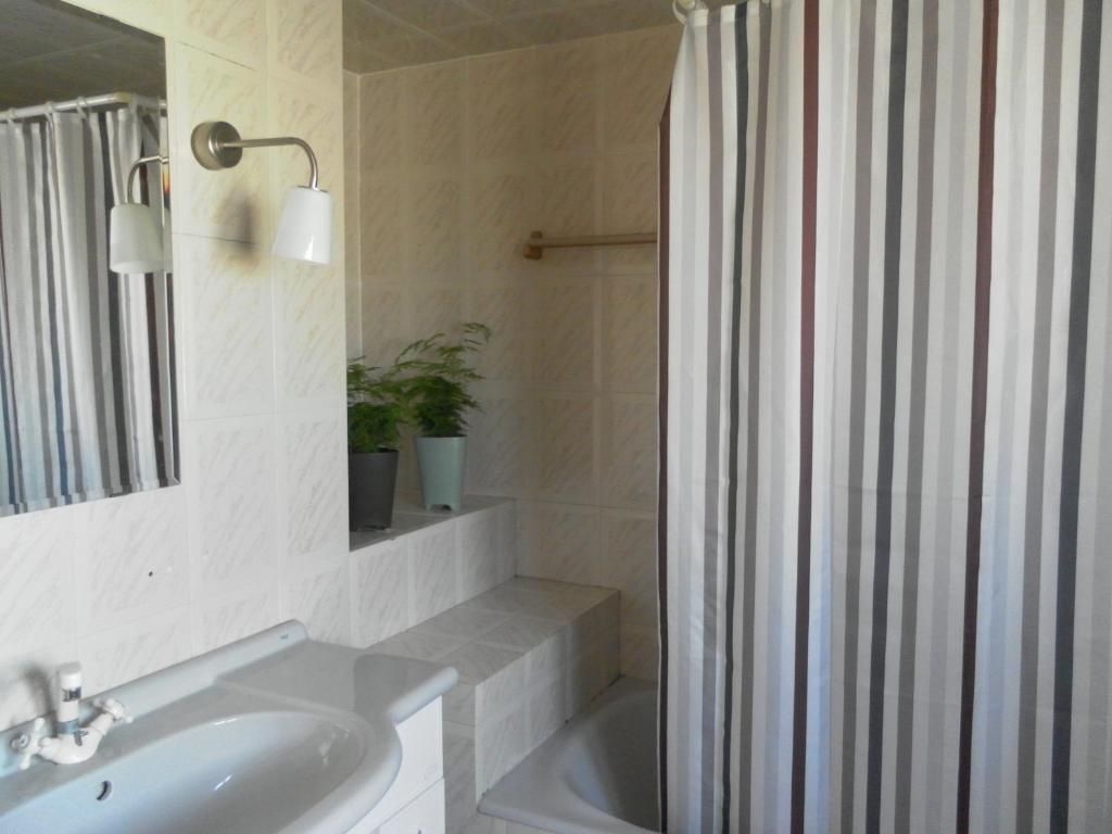 Lemon Tree Hostel Areia Branca Cameră foto