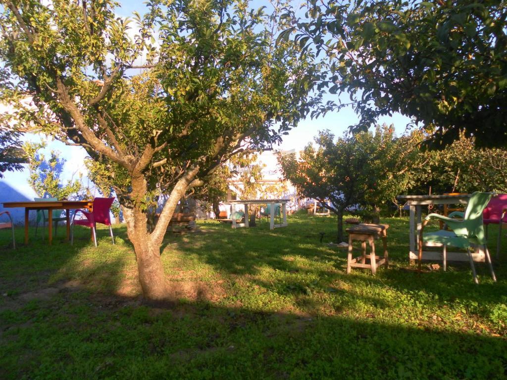Lemon Tree Hostel Areia Branca Cameră foto