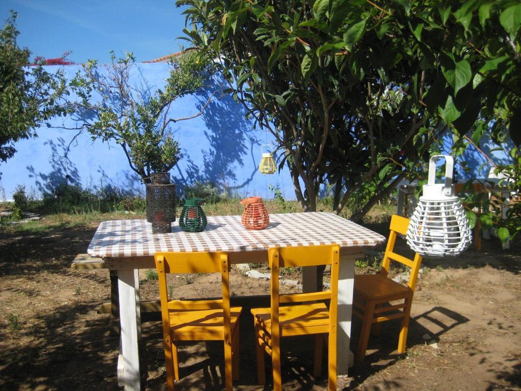 Lemon Tree Hostel Areia Branca Cameră foto